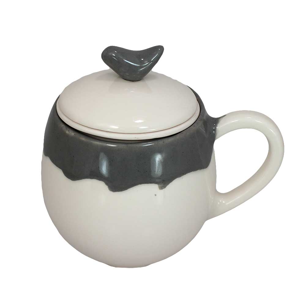 ماگ دمنوش ساز مدل raf-1 